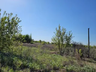 Земельный участок 238595 кв. м, Алтайский край, Новоалтайск. Местоположение: Российская Федерация, Алтайский край, г. Новоалтайск - 10, для строительства. Кадастровый номер 22:69:050103:239. Основной вид разрешенного использования: 15.0. Площадь: 238595. Территориальные зоны: industrial.