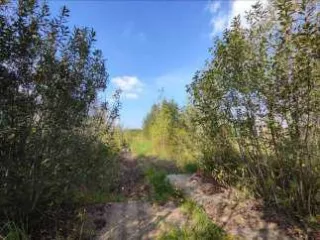 Земельные участки с кадастровыми номерами: 
50:11:0050609:7250; Площадь уточненная 3 828 кв. м
50:11:0050609:7252; Площадь уточненная 2 383 кв. м
50:11:0050609:7248; Площадь уточненная 3 629 кв. м
50:11:0050609:7253; Площадь уточненная 3 175 кв. м
50:11:0050609:7247; Площадь уточненная 84 кв…