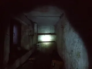 Встроенные нежилые помещения общей площадью 116,2 кв. м (кадастровый номер 59:01:1713044:1696) в подвале 5-этажного многоквартирного дома. Адрес: Российская Федерация, Пермский край, городской округ Пермский, город Пермь, улица Липатова, дом 5. Помещения пустуют.