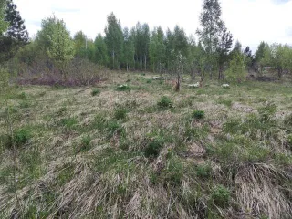 Земельный участок в Татарстане, 600 кв.м., расположенный по адресу: Россия, Республика Татарстан, Верхнеуслонский муниципальный район, Набережно-Морквашское сельское поселение, "Родник" СНТ, д.б/н, с кадастровым номером: 16:15:121401:453, площадью 600 кв.м. Является предметом залога ПАО "Sberbank"…