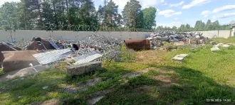 Высвобождаемое движимое военное имущество (лом черных металлов) Лом черных металлов 

