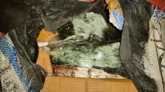 Товары народного потребления согласно приложению №4 (предметы декора). Имущество продается в том виде, комплектности и состоянии, в каком оно есть. За скрытые дефекты имущества Продавец ответственности не несет. Проданное имущество обмену и возврату не подлежит. Товар реализуется в имеющемся…