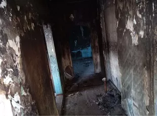 1/5 доля в праве на жилое помещение, площадь: 62,1 кв.м., кадастровый номер: 28:17:010502:646
Адрес (местонахождение): Амурская область, р-н Мазановский, с Практичи, ул Советская, д 59, кв 1
