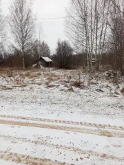 Земельный участок площадью 1000 кв.м с кадастровым номером 43:24:380502:729. Категория земель: земли населенных пунктов. Разрешенное использование: для ведения личного подсобного хозяйства (приусадебный земельный участок). Вид разрешённого использования: 2.1.