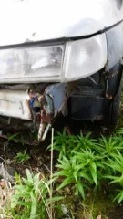 Acura MDX 2003 года, государственный регистрационный знак К883РМ29, VIN 2HNYD18233H517001, и ВАЗ 21124 2007 года, государственный регистрательный знак К886СМ29, VIN ХТА21124080525795. Реализация по прямому назначению. Сопроводительные документы отсутствуют.