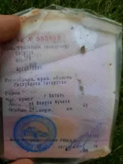 Hyundai Solaris 2016 года выпуска, VIN и кузов: Z94CT41CAHR500616. Ознакомление с имуществом возможно с момента публикации до окончания приема заявок в будни с 10:00 до 17:00 по московскому времени (обед с 13:00 до 14:00) по телефону 89872974397, электронной почте arb.slivada@list.ru или на ЭТП…