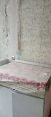 Однокомнатная квартира, назначение – жилое, общей площадью 32,3 м2, расположенная по адресу: обл. Пензенская, г. Заречный, ул. Конституции СССР, д. 31, кв. 20, кадастровый  условный  номер: 58:34:0010139:3239. Данное имущество находится в залоге у ПАО Сбербанк