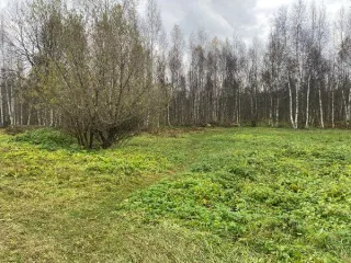 Земельный участок 1893 кв.м для ИЖС, Владимирская область, город Гусь-Хрустальный, поселок Гусевский, улица Восточная, з/у 26. Участок расположен в черте города. Земли населенных пунктов. Разрешенный вид использования: для индивидуального жилищного строительства. Основной вид разрешенного…