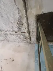 Доля квартиры, 54.5 кв.м, Пермский край 1/4 доля квартиры в Пермском крае еще 1/4 доля квартиры в Пермском крае еще 1/4 доля помещения, площадь 54.5 кв.м., назначение: Жилое, виды разрешенного использования: Квартира, адрес (местонахождение): Россия, муниципальный округ Кунгурский, село Зуята…