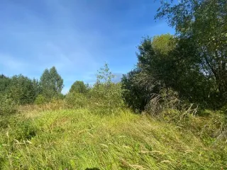 Продажа земельного участка 1 158 кв.м. для ЛПХ в м.о. Истра (КН 50:08:0080317:1214) Площадь земельного участка: 1158 Кадастровый номер земельного участка: 50:08:0080317:1214 Вид разрешённого использования земельного участка: 2.2