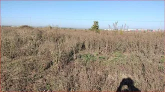 1/5 доля земельного участка, Пензенская обл., Кузнецк, Киселева, 1000 кв.м., адрес: 442544, Пензенская обл, Кузнецк г, Киселева ул, домовладение № 29, кадастровый номер: 58:14:0080301:311, категория земель: земли населенных пунктов, вид разрешенного использования: для индивидуальной жилой…