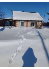 1/4 доли дома и участка, Новосибирская обл., Черепановский р-н. Жилой дом с кадастровым номером: 54:28:043201:66, расположенный по адресу: обл. Новосибирская, р-н Черепановский, п. Запрудный, ул. Советская, д. 24. Площадь 55. Земельный участок с кадастровым номером: 54:28:043201:51, расположенный…