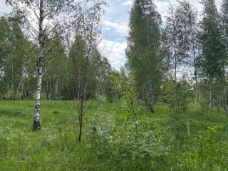 Земельный участок площадью 1597 кв.м, категория земель: "земли населенных пунктов", вид разрешенного использования "для ведения личного подсобного хозяйства (приусадебный земельный участок)", расположенный по адресу: Московская область, г. Кашира, мкр. Ожерелье. В соответствии со статьей 39.18…