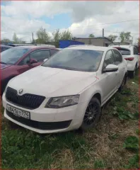 Skoda Octavia, 2013 года, 105 лс, 177808 км, VIN: XW8AB2NEXEH012992.