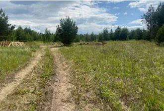 Земельный участок 1000 кв.м, Удмуртская Республика, Сарапульский район, д. Усть-Сарапулка, КН 18:18:022001:638, категория - Земли населенных пунктов, ВРИ - Для индивидуального жилищного строительства (код 2.1) (Зона застройки индивидуальными жилыми домами, перспективное освоение под ИЖС (Ж3-1))