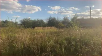 Земельный участок 987.1 кв.м., Оренбургская обл., Бугурусланский район, сдт Борисовское, уч.46. Категория земель: Земли сельскохозяйственного назначения, разрешенное использование: Для коллективного садоводства, кадастровый номер: 56:07:0715001:1112