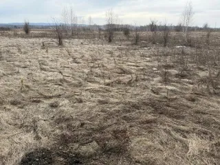 Земельный участок, площадью 657+/-5 кв.м, кадастровый №24:04:0305001:3258, по адресу: Красноярский край, Березовский район, ДНТ «Зеленые луга». Обременения: залог, запреты судебного пристава исполнителя на регистрационные действия. Основной вид разрешенного использования: 2.0. Кадастровый номер…