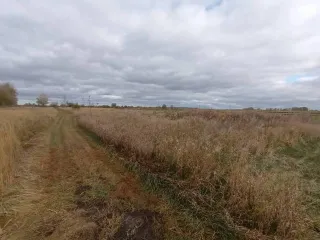 1/4 доли дома и участка, здание 34,4 кв.м., участок 5000 кв.м., Мордовия, здание, кадастровый номер 13:01:0430002:318, площадь 34,4 кв.м., общая долевая собственность, доля в праве 1/4, адрес местонахождения: Республика Мордовия, район Ардатовский, село Жабино, ул. Верхняя, д. 14, и земельный…