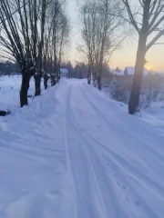 Земельный участок площадью 1479 ± 20 кв. м, кадастровый номер 53:03:1513005:112, категория земель - земли населенных пунктов, вид разрешенного использования – для ведения личного подсобного хозяйства. Местонахождение: Новгородская обл., Валдайский р-н., с Яжелбицы, ул. Садовая.