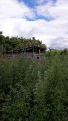 Земельный участок 2672 м², дом 45.6 м², Башкортостан. Земельный участок для ведения личного подсобного хозяйства. Кадастровый номер: 02:24:090801:14. Местоположение установлено относительно ориентира, расположенного в границах участка. Почтовый адрес ориентира: Республика Башкортостан…