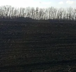 Земельный участок 5000 кв.м, Воронежская область, Таловский район. Кадастровый номер: 36:29:9200007:253. Адрес (местоположение): Воронежская область, р-н Таловский, Казанское сельское поселение, в южной части кадастрового квартала 36:29:9200007. Площадь, кв.м: 5000. Вид права, доля в праве…