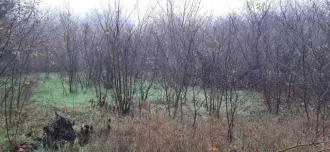 Земельный участок 520 кв.м для садоводства в Ростовской области, Неклиновский район, село Николаевка, СНТ «Колос», участок № 35. Кадастровый номер: 61:26:0513301:35. Площадь: 520 +/- 8 кв.м. Вид разрешенного использования: для ведения садоводства и огородничества. Право собственности…