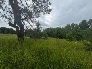 Земельный участок 1568 м², КН 50:29:0040704:352, Московская область. Площадь 1568, кадастровый номер 50:29:0040704:352, основной вид разрешенного использования 2.1.
