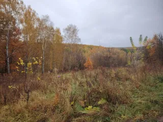 Земельный участок 665 кв.м Курская область, площадь 665 +/-9 кв.м., адрес: Курская обл., г. Курск, снт «Вишенка», участок 337, кадастровый номер: 46:29:102106:290, категория земель: Земли населенных пунктов, разрешенное использование: для садоводства и огородничества