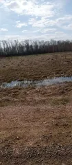 Земельный участок для сельскохозяйственного производства. Кадастровый номер: 59:23:1221002:115. Местоположение: Пермский край, м.о. Куединский, на территории СПК Выль Сюрес. Площадь: 46500 +/- 1887 кв.м.