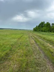 Земельные участки (136 шт.) 361 187 кв. м, Самарская область, Красноярский район, земельные участки (136 шт.) общей площадью 361 187 кв. м в границах ZAO «Kamenskoye» Красноярского района Самарской области, назначение: данные отсутствуют, виды разрешенного использования: для комплексного освоения в…