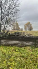 Земельный участок Земельный участок для ведения ЛПХ 
Кадастровый номер земельного участка: 37:01:010121:138 
Площадь земельного участка: 3762 
Вид разрешённого использования земельного участка: 2.2 
