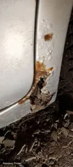 Ford Focus, 2007 года, 125 лс, 163000 км. Марка/модель FORD FOCUS, год выпуска 2007, рег.знак С399КХ58, VIN X9F4XXEED47D71572, мощность ДВС 125 л.с., цвет серебристый, кузов седан, тип ДВС бензин, привод передний. Хранение: гараж по адресу г. Никольск, ул. Юбилейная, 32д. Состояние авто: под…