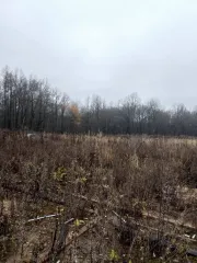 Земельный участок 1000 кв.м, с. Лесные Моркваши, ул. Сосновая, уч. 77, Республика Татарстан, площадь: 1 000 кв.м., адрес (местонахождение): Российская Федерация, Республика Татарстан, муниципальный район Верхнеуслонский, сельское поселение Набережно-Морквашское, село Лесные Моркваши, улица…