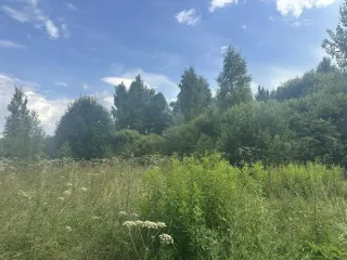 Аукцион в отношении земельного участка с КН 50:19:0050618:853 Аукцион в отношении земельного участка с КН 50:19:0050618:853 
Площадь земельного участка: 2205 
Кадастровый номер земельного участка: 50:19:0050618:853 
Основной вид разрешенного использования: 2.2 
