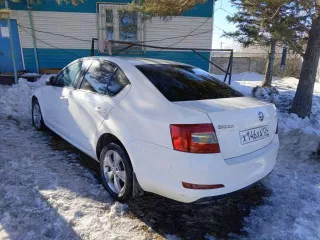 SKODA OCTAVIA, 2014 года выпуска, VIN XW8AC6NE2EH021495