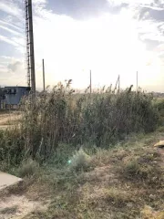 земельный участок, площадь 717 +/  9 кв.м., кадастровый  условный  номер: 05:50:000003:687 земельный участок, площадь 717 +/  9 кв.м., кадастровый  условный  номер: 05:50:000003:687, республика дагестан, р н кумторкалинский, с.темиргое, ул алиева. площадь: 717 +/  9. виды разрешенного использования…