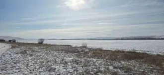 Земельный участок площадью 105021 кв.м. Кадастровый номер 03:05:270107:493, категория земель - земли сельскохозяйственного назначения, вид разрешенного использования - для сельскохозяйственного производства. Местоположение установлено относительно ориентира, расположенного в границах участка…