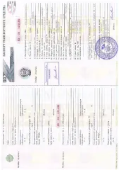 Автомобиль LADA Granta VIN XTA219060F0346712. Год выпуска 2015, пробег 304759 км. Двигатель объемом 1596 см³, мощность 81,6 л.с. Легковой транспорт.