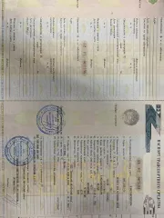 Автобус для перевозки детей ПАЗ 32053-70, идентификационный номер Х1М32058ХD0001894, год изготовления 2013, категория D, модель номер двигателя 523420 D1002683, кузов № Х1М32058ХD0001894, цвет кузова желтый, мощность двигателя 122,4 л.с., рабочий объем двигателя 4670, тип двигателя бензиновый…
