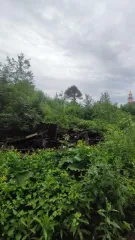 Доля в праве общей долевой собственности (3/8) на жилой дом площадью 44,5 кв.м. и доля в праве общей долевой собственности (3/8) на земельный участок площадью 2178 кв.м., расположенные по адресу: Кировская область, г. Киров, ул. Седова, д. 7. Кадастровый номер дома: 43:40:000643:54, количество…