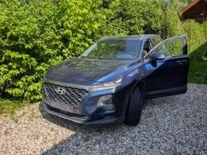 Hyundai Santa Fe 2019 г.в., VIN: XWES381DDL0003277.