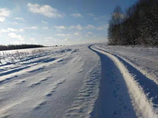 Земельный участок, 370086 +/- 213 кв.м, кадастровый 18:08:006001:1001, Удмуртская Республика, Завьяловский район.