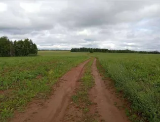 Доля в праве на земельный участок общей площадью 1 014 385 кв. м, кадастровый номер: 18:22:003001:435, расположенный по адресу: Удмуртская Республика, Шарканский район, МО "Сюрсовайское", юго-восточнее с. Сюрсовай. Категория земель: земли сельскохозяйственного назначения. Вид разрешенного…