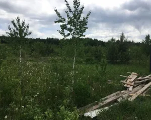 1/4 доли земельного участка Виды разрешенного использования объекта недвижимости:: Для ведения личного подсобного хозяйства (приусадебный земельный участок); 10,1 кв.м., вид права: Общая долевая собственность, доля в праве 1/4, кадастровый (условный) номер 59:24:3600102:2199, адрес: Российская…