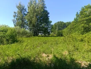 Земельный участок 52 394 кв. м, Калининградская область, Гурьевский район, 52 394 +/- 2 003 кв. м, местоположение: находится примерно в 4,4 км по направлению на северо-запад от ориентира, почтовый адрес ориентира: Калининградская обл., Гурьевский р-н, п. Голубево, кадастровый номер…