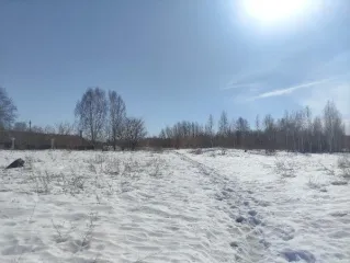 Земельный участок с кадастровым номером 45:21:030207:2, площадь 21826 кв.м, адрес: Курганская обл, р-н Шатровский, с Шатрово, ул Федосеева, 77; основной вид разрешенного использования: 6.0.