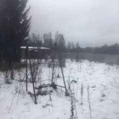 Земельный участок, площадь 1000 +/- 11 кв.м., адрес: Россия, обл Ярославская, р-н Ярославский, с/о Лютовский, д.Софряково, кадастровый номер: 76:17:122101:33. Находится в совместной собственности. Жилой дом, площадь 92.4 кв.м., назначение: Жилое, адрес: Россия, обл Ярославская, р-н Ярославский, с/о…