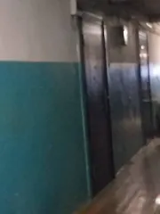 Комната 18,3 кв.м. Брянская обл. Комната в Брянске, 18,3 кв.м. Комната (назначение жилое), площадью 18,3 кв.м., кадастровый номер 32:28:0014606:137, расположенная по адресу: РФ, Брянская обл., г.о. город Брянск, переулок Металлистов, дом 4А, комната 32. Зарегистрированные лица: данные отсутствуют…