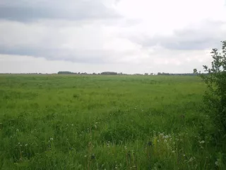 Земельный участок с кадастровым номером 52:07:0900027:715, вид разрешенного использования для дачного строительства, площадью 577948,68 +/-6652 кв.м.
Местоположение установлено относительно ориентира, расположенного в границах участка. Почтовый адрес ориентира: Нижегородская область, Сокольский…