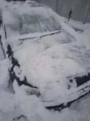 Opel Omega 1995 года, зеленого цвета. VIN: WOL000025S1092834.